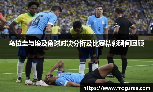 必一运动(B-Sports)官方网站